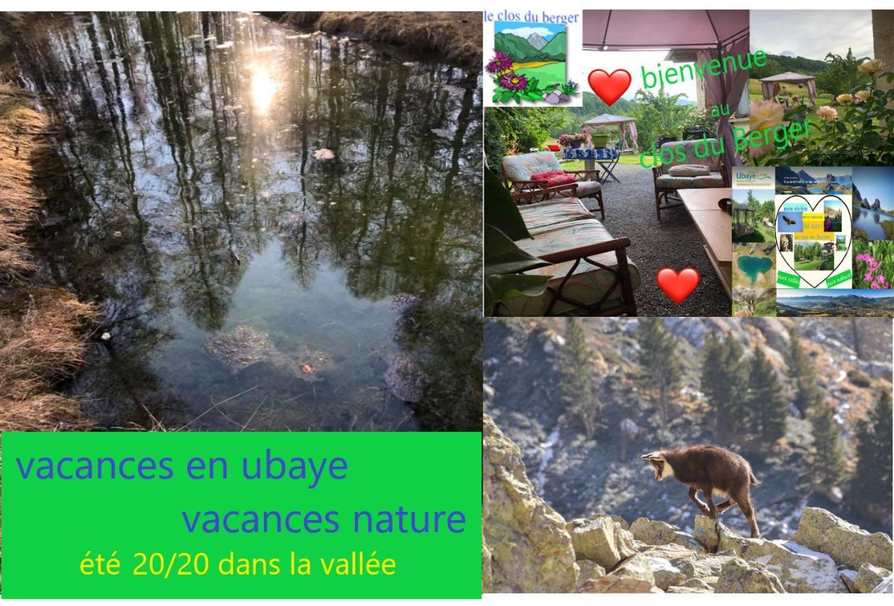 Le Clos Du Berger Le Sauze Bagian luar foto