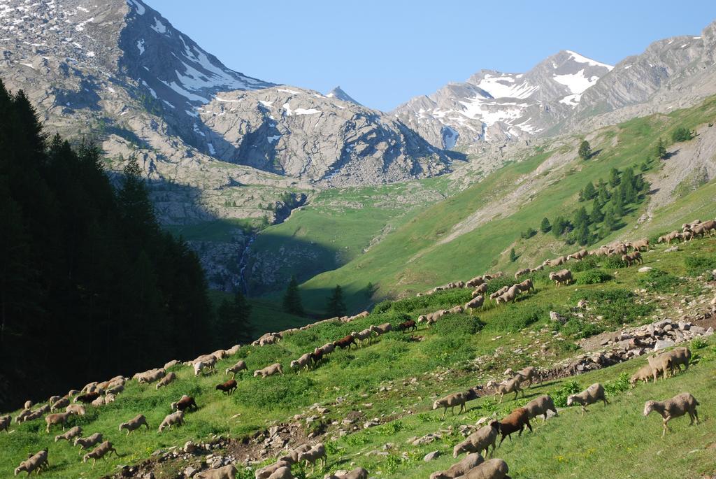 Le Clos Du Berger Le Sauze Bagian luar foto